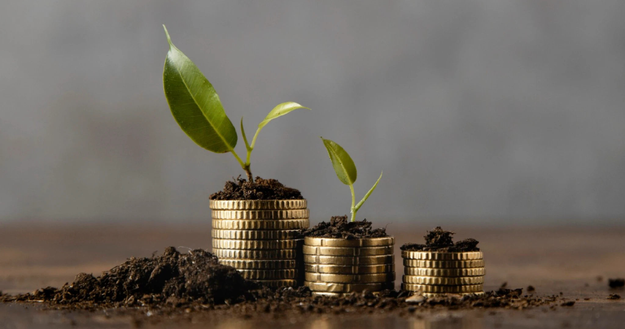 Finance Specialization