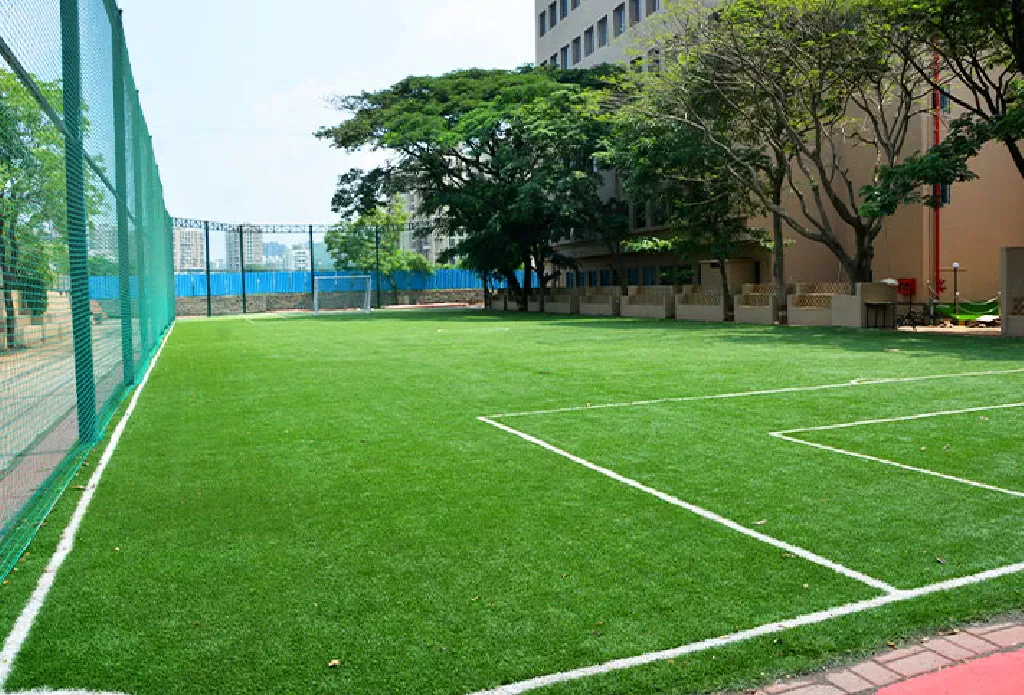 Sports Grounds