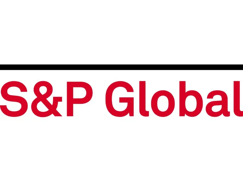 Partner Logo 30